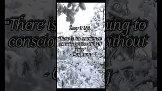 Pain is Temporary: Inspirational Quotes to Overcome Pain