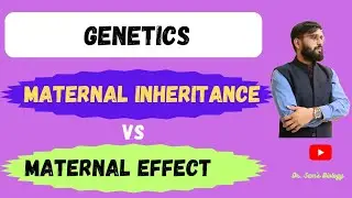 Maternal Inheritance VS Maternal Effect
