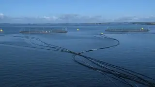 F&ocirc;ring i sj&oslash;anlegget