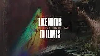 Like Moths To Flames - The Preservation of Hate
