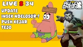 TOP 1 DUNIA BINATANG GASS ?! AUTO CHESS INDONESIA