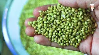 Dhania in English | Coriander seed in Kannada | Unknown benefits of the coriander seeds