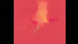 Hans Philip x Noah Carter Type Beat - 