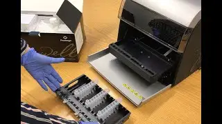 Katja demonstrates nucleic acid extraction with Promega Maxwell