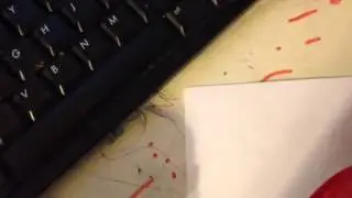 Fun thing to do with paint