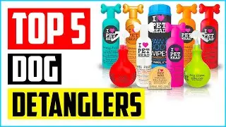 Top 5 Best Dog Detanglers &ndash; Review In 2022