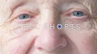 Cell Shorts | Accelerating degenerative eye disease therapies