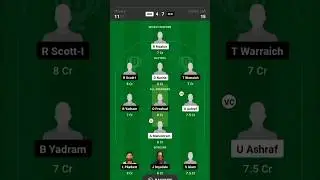 USA T20 Minor League Cricket NEEvsPLP Dream11 Match Prediction #usat20 #ytshorts #ytstudio #shorts