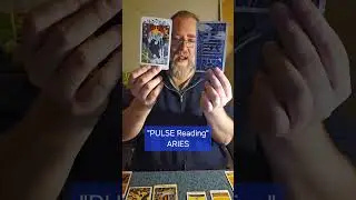 Aries PULSE Reading #dailyreading #tarot #horoscope #theheretichermit #aries