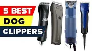 Top 5 Best Professional Dog Clippers Reviews On Aliexpress