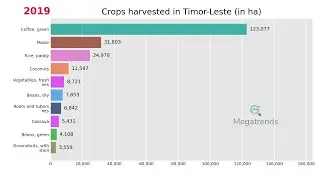 Top 10 Crops harvested in Timor-Leste (1961 - 2019)