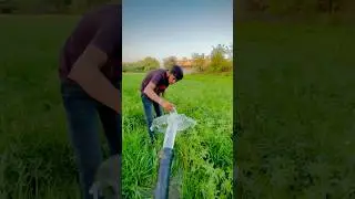 🌾farming ￼#shorts #reels #trending #viralvideo #villagelife #roots #edit #shortvideo #viralshorts🌿