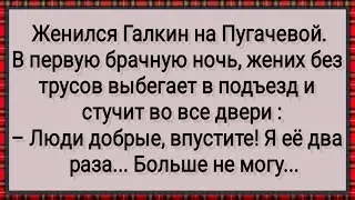 Как Галкин Ночью от Пугачевой Сбежал! Сборник Свежих Анекдотов! Юмор!