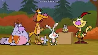 Nature Cat Total Eclipse Of The Sun (Part 1)