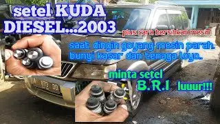 Penyebab suara kasar saat mesin dingin kuda DIESEL