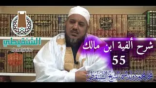 شرح ألفية ابن مالك||55 -نونا التوكيد|| الشيخ محمد محمود الشنقيطي