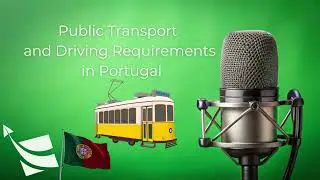 Portugal Travel: Public Transport and Driving Requirements