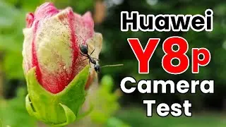 Huawei Y8p Camera Test | Everything about day/night camera performance