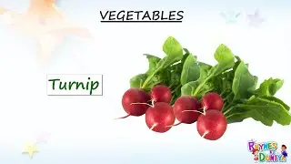 Vegetable Names with Pictures | Different Types of Vegetables | vegetables name in english | Kids