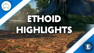 Glitch Tournament Highlights - Ethoid - Fortnite (#166)