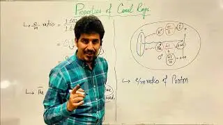 Lec#10: Ch#02: why the e/m ratio of Canal rays is dependent upon gas used?