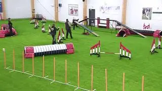 International Agility Training Week - Cueing turns from a distance - preview