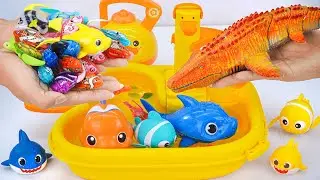 [Toy asmr] RC Mosasaurus & Gold Shark & Zuru Fish & Yellow Aquarium ASMR Satisfying with Unboxing
