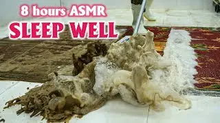 Soothe Your Soul with Carpet Cleaning ASMR – Sleep Better and Relax, Stress Relief, Anxiety Relief