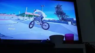 Pipe kinglouii