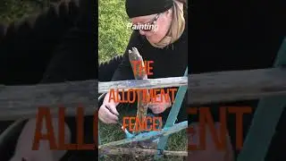 Gardening Moments | Painting the Allotment Fence | Mindful Moment | short
