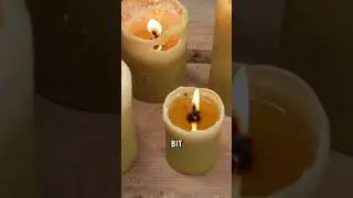 *Popular Types of Beeswax Candle*