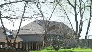 Mechanized Tree-Felling - Applied Force
