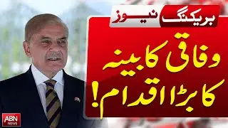 Federal Cabinet Takes Major Step | Key Government Decision Explained | Breaking News | ABN News