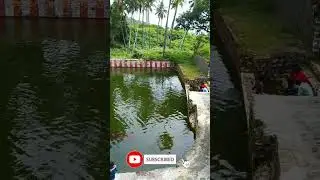 Best temple tourist place in coimbatore palamalai temple