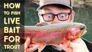 How to fish live bait for trout (It's that easy)