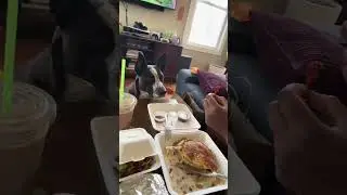 Cunning hungry dog🤤😍 #funny #dog #funnyvideo #funnyshorts