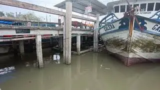porto do bacuriteua Bragança do Pará e aqui todo mundo descarregar os  pescados