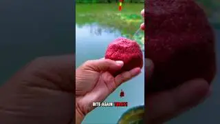 Fishing videos new 2024 Unique best fish catching #shorts #carpfish