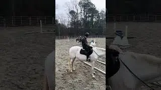 perfect maximus this morning saving my butt over some hard gymnastics 🩷