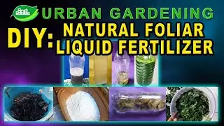 DIY: Natural Foliar Liquid Fertilizer