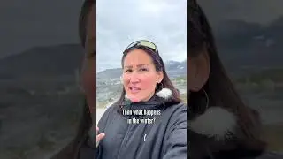 Midnight sun in Greenland? Day 62 of 100.
