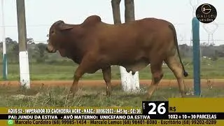 LOTE 26   AQUS 52