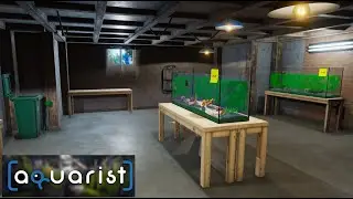 Our Aquarium Creation Life Begins ~ Aquarist