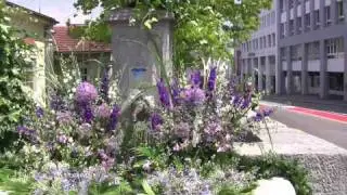 Maienzug Aarau 09 Vorbereitungen