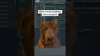 Surprise! #meme #memeducer #funny #fun #beats #flstudio #producer #beatstars