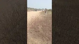 ladunda horse race  लाडुन्दा घोड़ी रेस 1, 2, 3 राउंड 10/1/2024