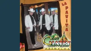El Chanate
