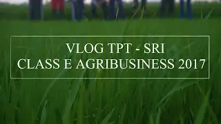 VLOG TPT - SRI (System Of Rice Intensification) By Class E Agribusiness 2017