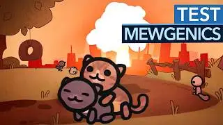 150 Stunden und es kommt noch so viel mehr: Mewgenics ist gigantisch!