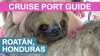 Roatan, Honduras Cruise Port Guide